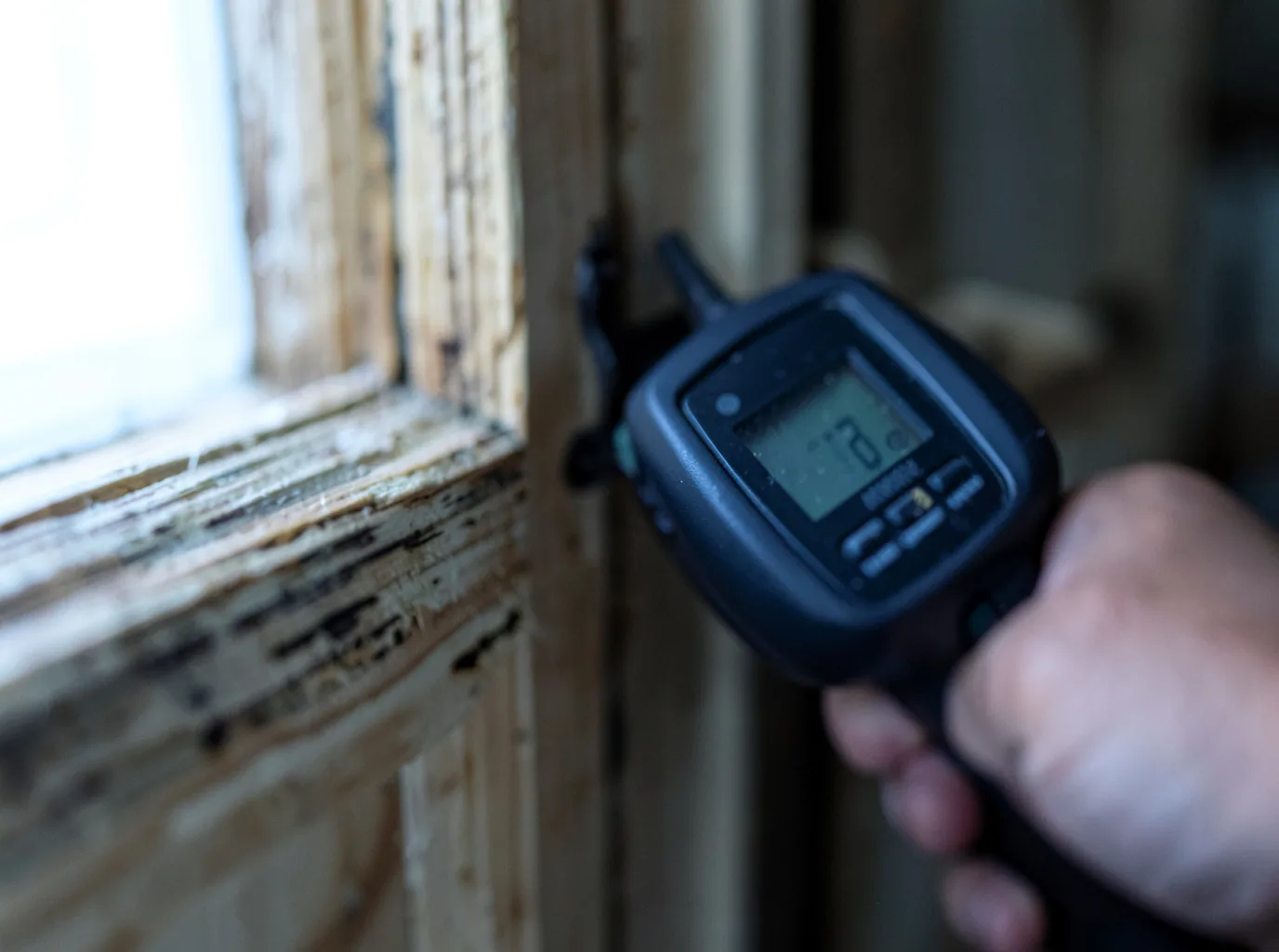 Moisture Inspection And Documentation in Surprise, NE